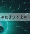 优质胚胎数量少养囊做三代试管能成功吗？优质胚胎养囊不成功的原因？