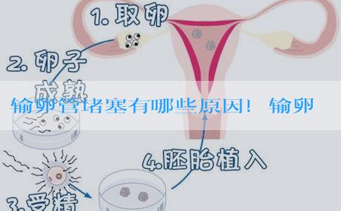 输卵管堵塞有哪些原因！输卵管堵塞是什么原因所致！