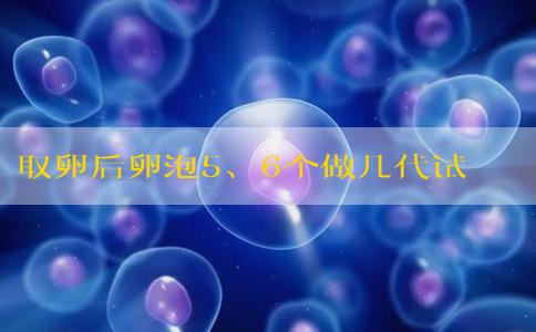 取卵后卵泡5、6个做几代试管？
