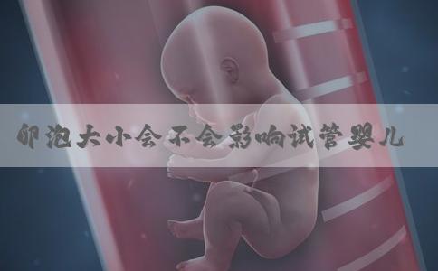 卵泡大小会不会影响试管婴儿成功率！卵泡大小跟质量有关系吗！