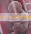 吉安泰和县试管婴儿需要多少钱？吉安市妇幼保健院试管成功率？