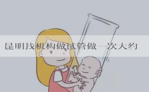 昆明找机构做试管做一次大约多少钱？昆明市做试管婴儿需多少钱？