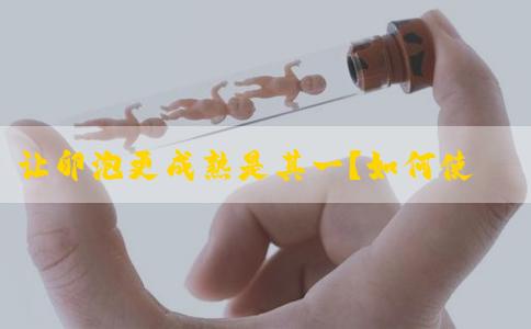 让卵泡更成熟是其一？如何使卵泡成熟？