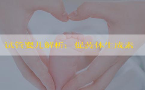 试管婴儿解析：促黄体生成素对胚胎着床的影响