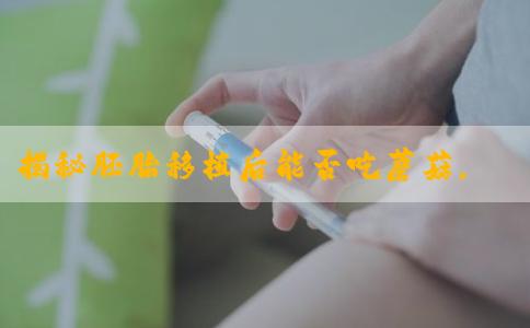 揭秘胚胎移植后能否吃蘑菇，三大危害请提前知晓