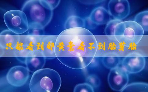 只能看到卵黄囊看不到胎芽胎心还陆续出血能保住吗？