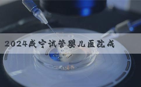 2024咸宁试管婴儿医院成功率排名大公开，哪家好一目了然