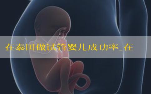 在泰国做试管婴儿成功率_在泰国做试管婴儿的费用！