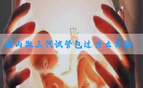 国内做三代试管包过什么价格_国内三代试管可以包成功吗！
