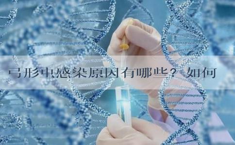 弓形虫感染原因有哪些？如何预防弓形虫感染？