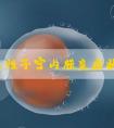 急性子宫内膜炎症状