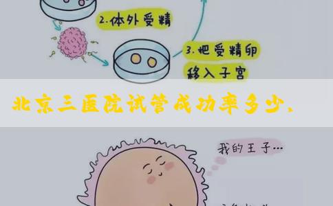 北京三医院试管成功率多少,北京三院试管怎么样！