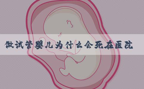 做试管婴儿为什么会死在医院(做试管婴儿为什么会失败)