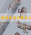 试管基因筛查到移植多久,试管婴儿基因检测需要多久！