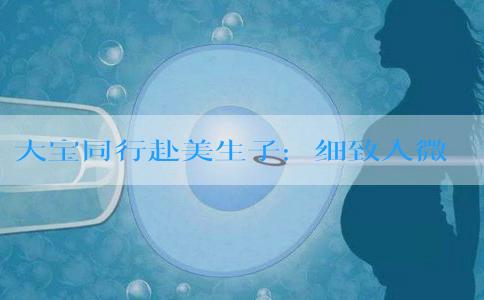 大宝同行赴美生子：细致入微的注意事项指南