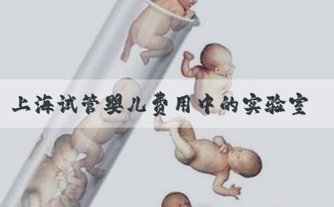 上海试管婴儿费用中的实验室费用：技术决定价格