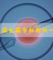 关于美国生孩子机构的一些问题？大家来看