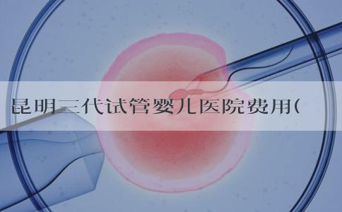 昆明三代试管婴儿医院费用(昆明三甲医院试管婴儿)
