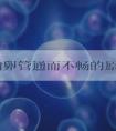 诱发输卵管通而不畅的原因是什么