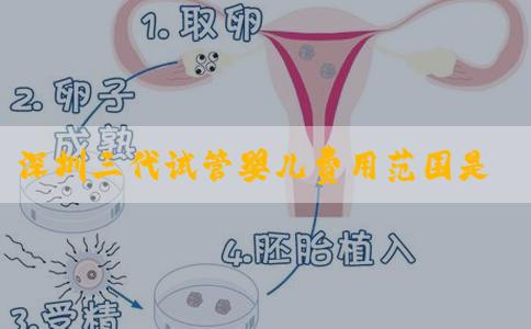 深圳三代试管婴儿费用范围是多少？如何根据个人情况选择合适方案？