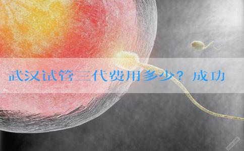 武汉试管三代费用多少？成功率如何？