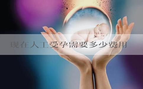 现在人工受孕需要多少费用