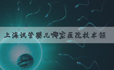 上海试管婴儿哪家医院技术领先？成功率如何？
