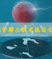 温州试管婴儿技术流程介绍，温州第三代试管婴儿费用是多少？