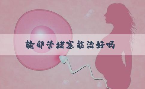 输卵管堵塞能治好吗