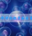 做试管取卵的数量和质量是由什么决定的?