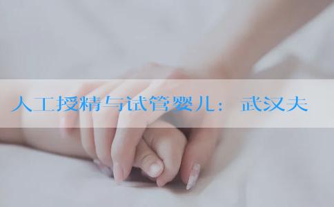 人工授精与试管婴儿：武汉夫妇如何选择更合适的生育方案？