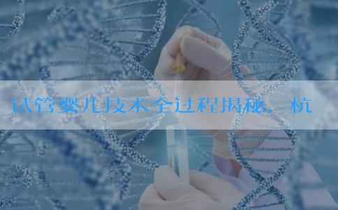试管婴儿技术全过程揭秘，杭州夫妇如何顺利实现生育梦想？