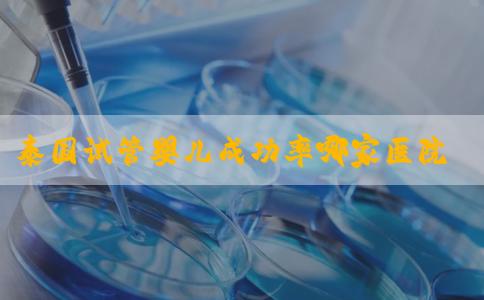 泰国试管婴儿成功率哪家医院最高？曼谷有哪些知名助孕机构？